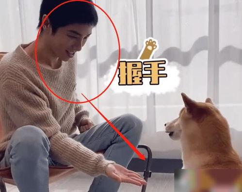 狗子的最新爆料视频,娱乐圈幕后真相大曝光！  第3张